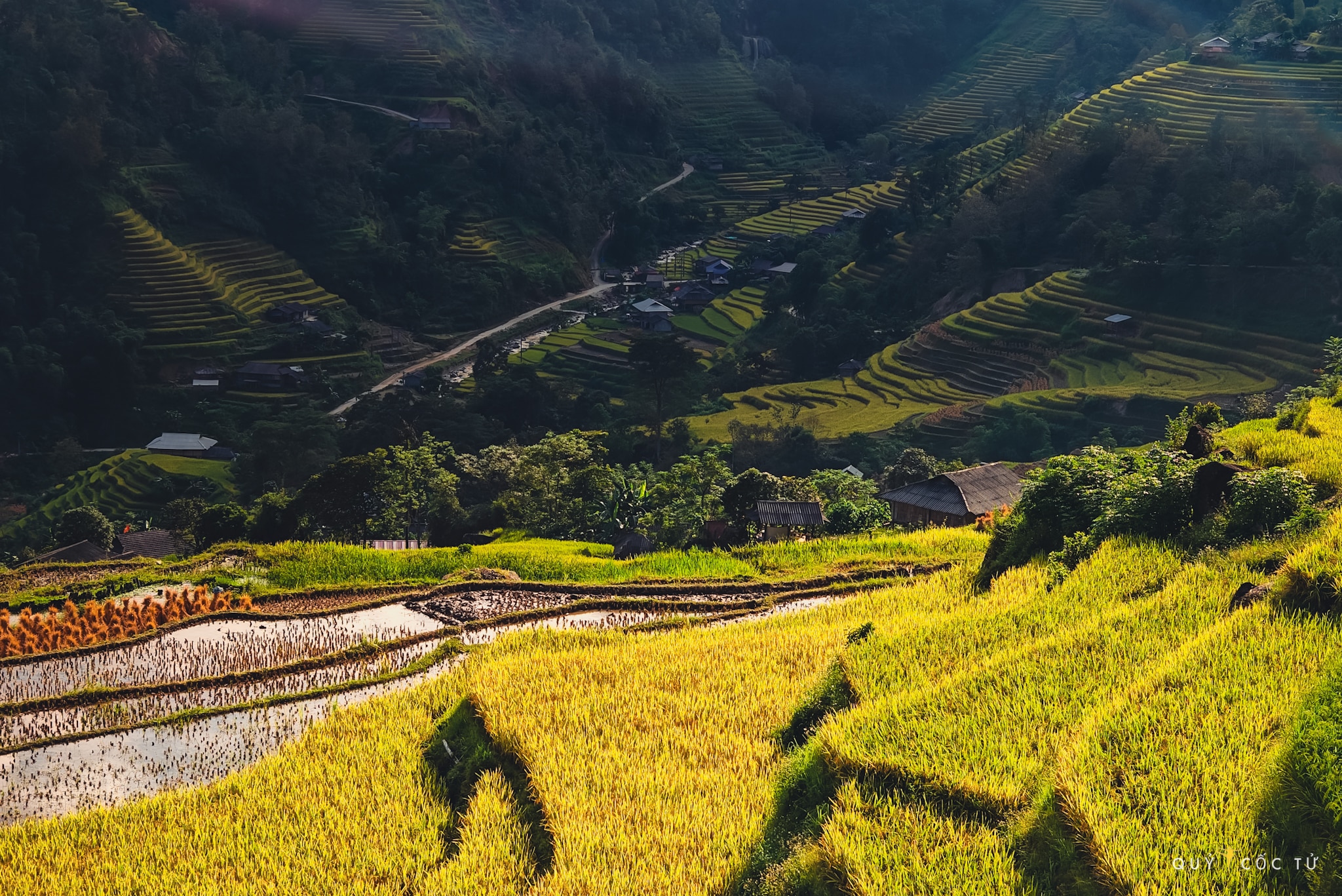 “Nắng thu vàng ươm, lúa chín nặng trĩu hạt, tỏa hương thơm dìu dịu. Điểm xuyết giữa bức tranh vàng là những mái nhà nhỏ xinh của người dân tộc, tạo nên khung cảnh bình yên, thơ mộng. Tiếng suối róc rách hòa cùng tiếng cười nói rộn ràng của người dân thu hoạch lúa, vẽ nên một bản hòa ca mùa vàng đầy sức sống“, anh Hải An ngập tràn cảm xúc khi trở lại Hà Giang đúng mùa lúa chín.