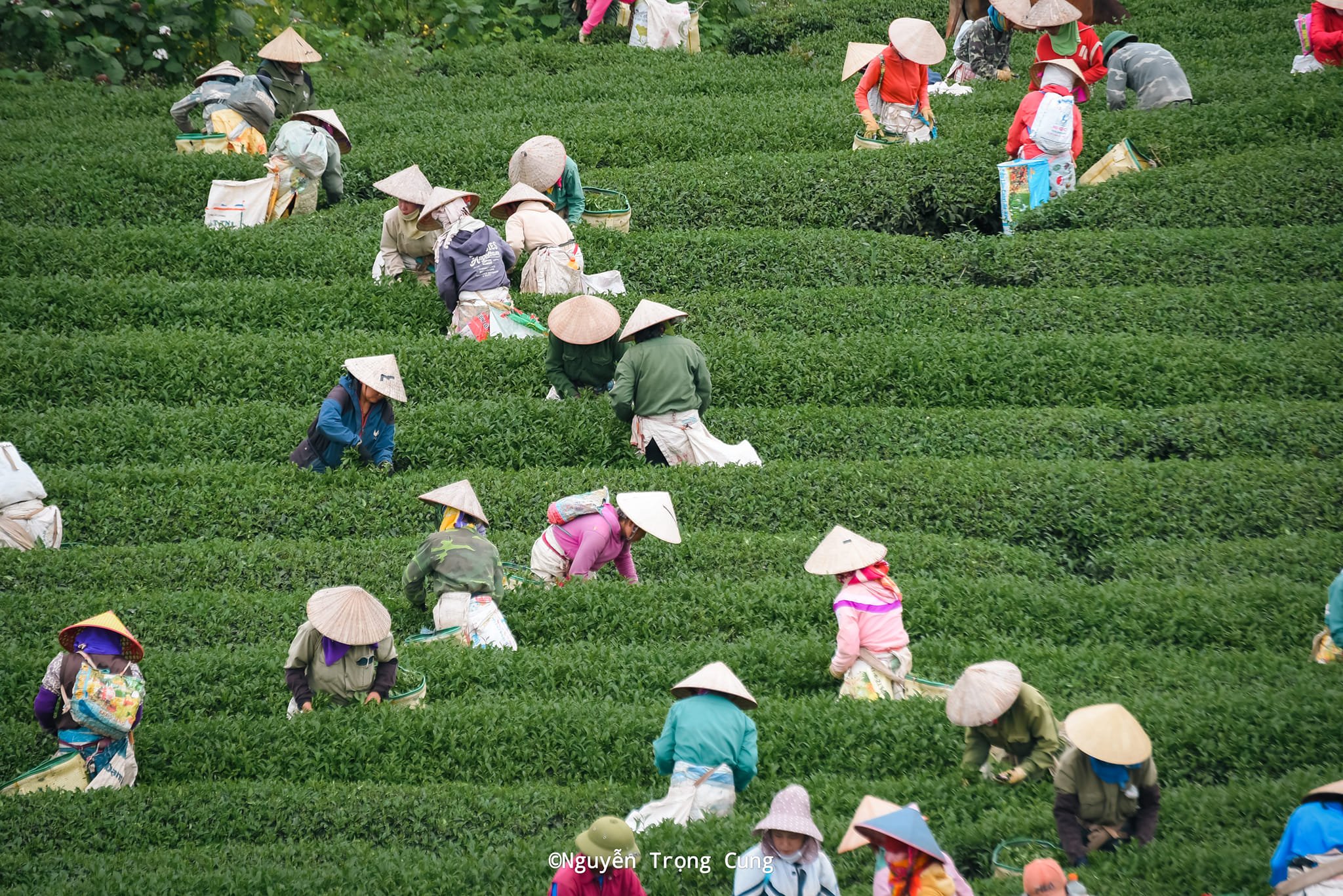 Không có mô tả ảnh.