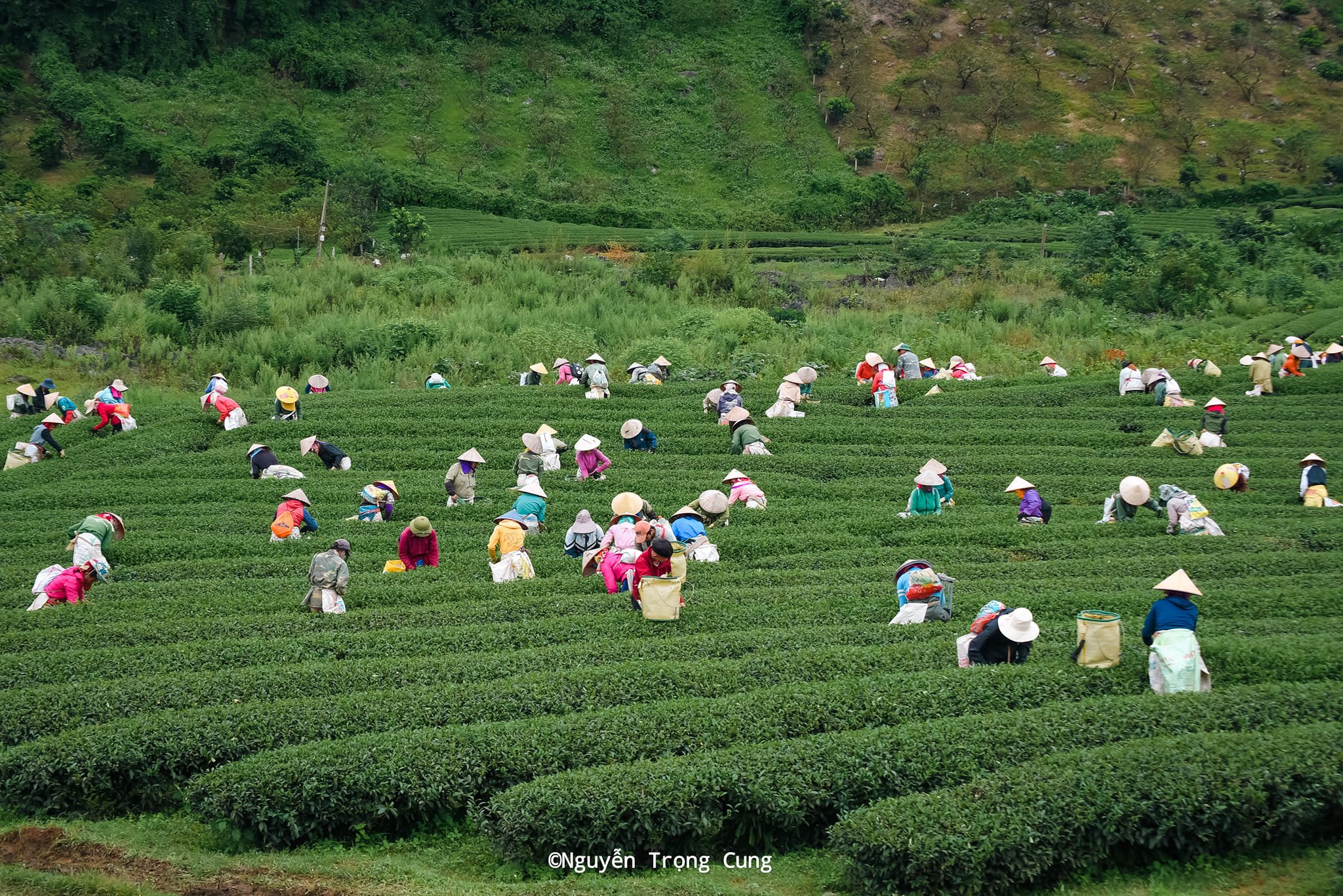 Không có mô tả ảnh.