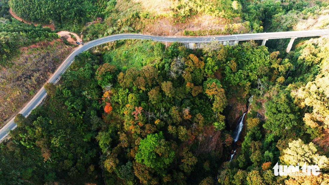 Măng Đen được chú ý gần đây và mệnh danh là 