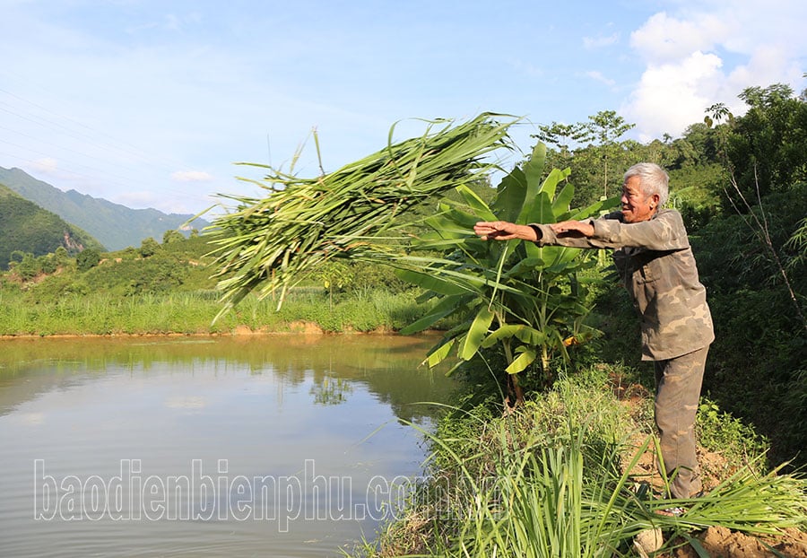 Già làng làm kinh tế giỏi