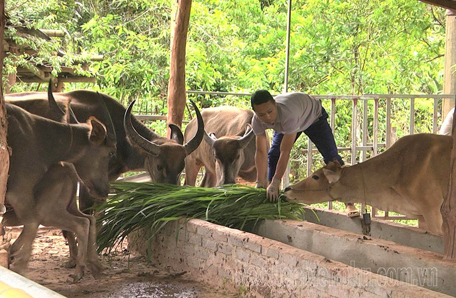 Khó hỗ trợ con giống cho người dân