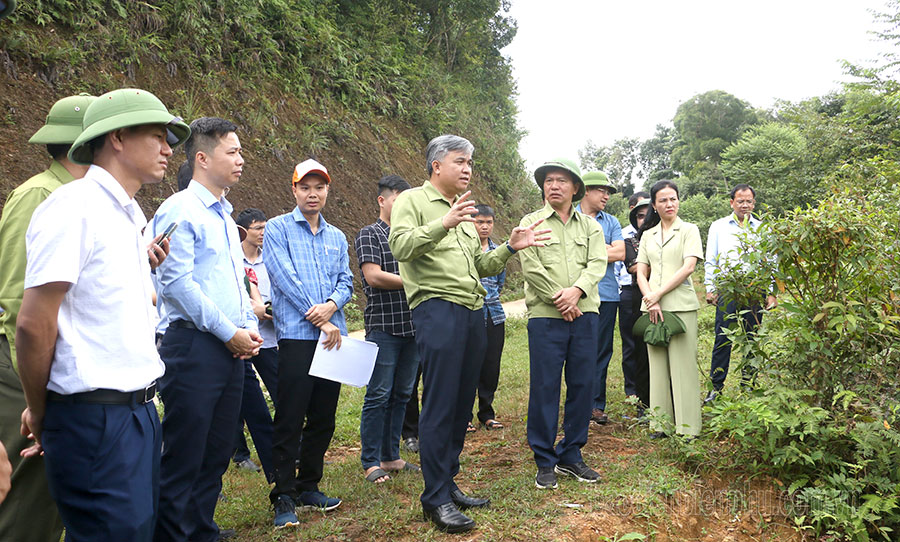 El vicepresidente del Comité Popular Provincial, Lo Van Tien, inspeccionó el trabajo de asignación de tierras y bosques en Muong Ang