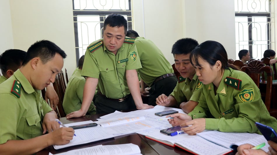 Improving criminal handling skills in the forestry sector for forest rangers