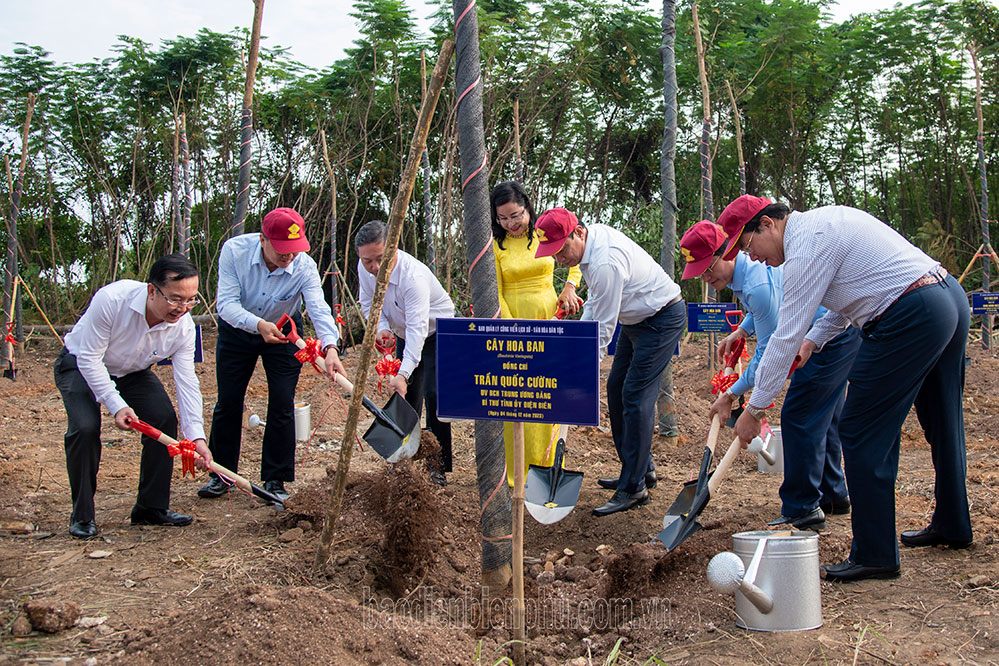 Điện Biên trồng 120 cây hoa ban tại TP. Hồ Chí Minh