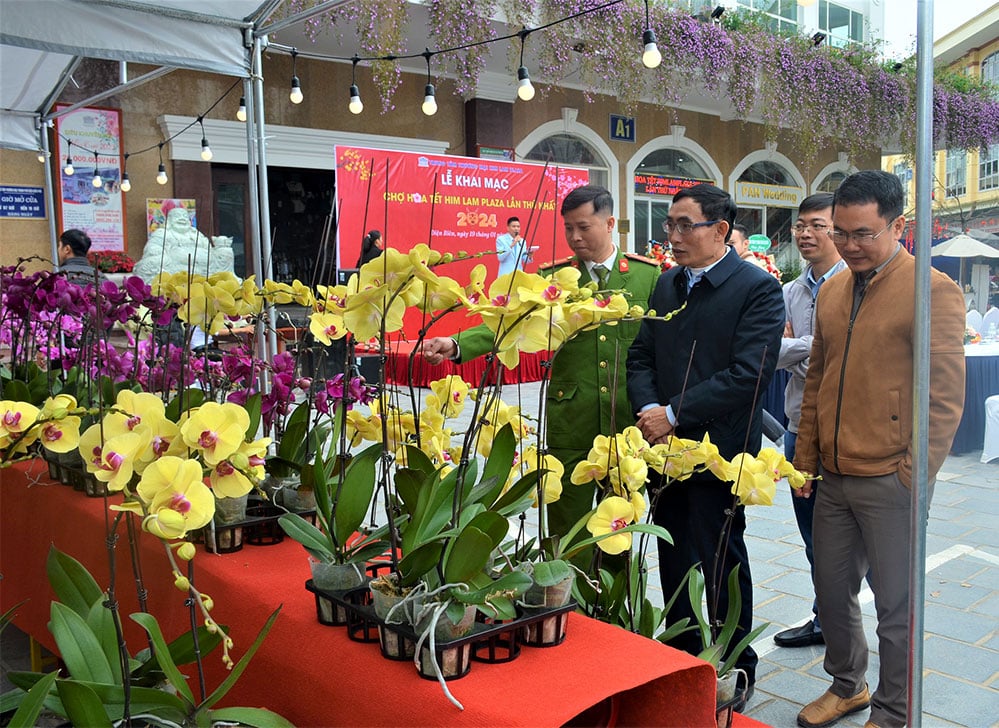 60 booths participate in the first Him Lam Plaza Tet Flower Market