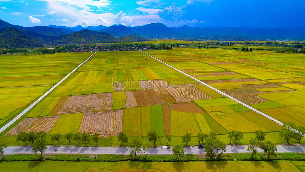 เพื่อนำผลิตภัณฑ์ทางการเกษตรเดียนเบียนไปไกลและกว้างไกล