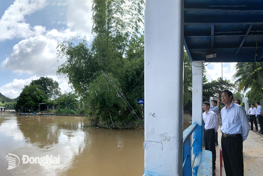 Phó chủ tịch UBND tỉnh Võ Văn Phi kiểm tra khu vực nuôi cá bè tại xã Phú Thịnh, H.Tân Phú.