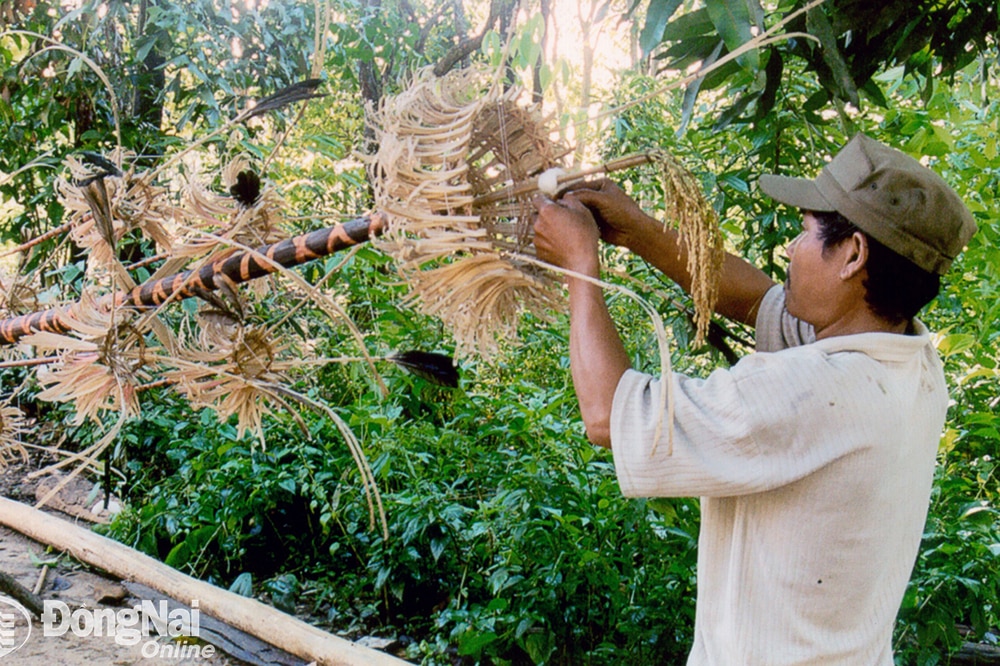 Trang trí cây nêu trong Lễ hội Cúng thần lúa của người
Chơro ấp Lý Lịch, xã Phú Lý, huyện Vĩnh Cửu.