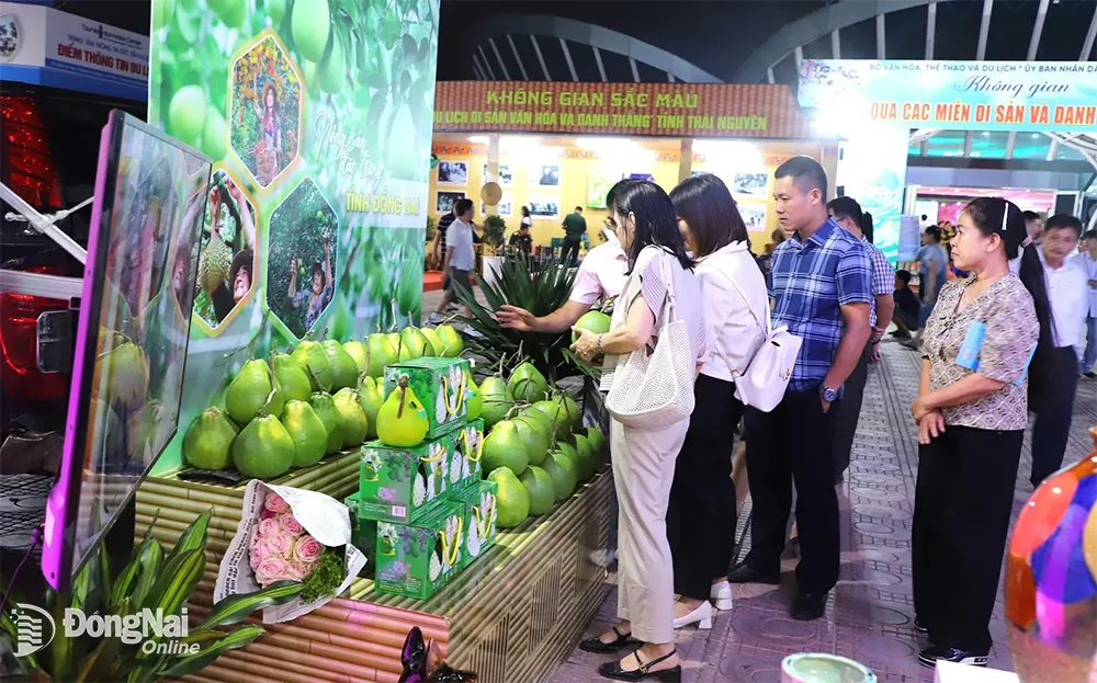 Đặc sản bưởi Tân Triều được trưng bày, giới thiệu tại tỉnh Điện Biên. Ảnh: Quang Tuyến
