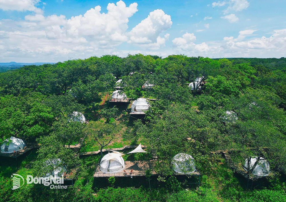 Khu cắm trại Tropical EGlamping nhìn từ trên cao.