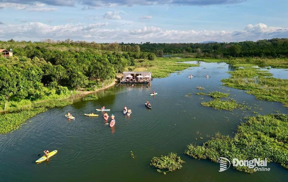 Nhiều hoạt động du lịch trải nghiệm tại Tropical EGlamping.