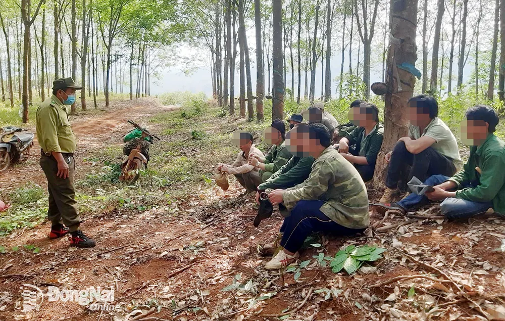 Cán bộ kiểm lâm tích cực tuyên truyền, vận động người dân ra khỏi rừng. Ảnh: CTV