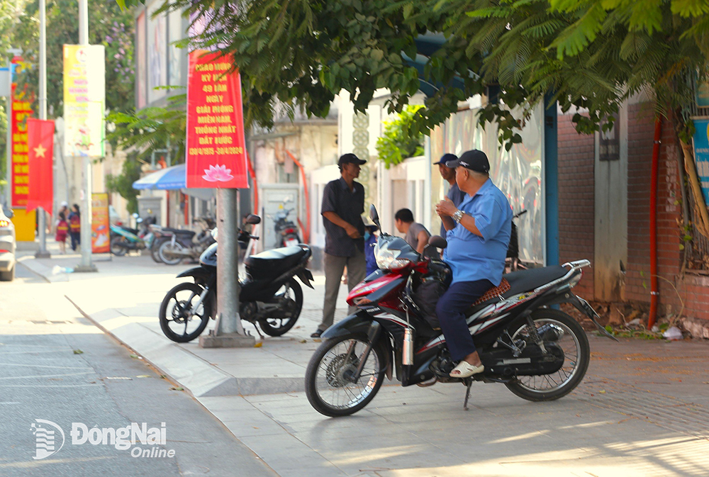 Hơn bao giờ hết, cây xanh được coi là “cứu tinh” cho người dân khỏi thời tiết khắc nghiệt. Ảnh: Thủy Tiên