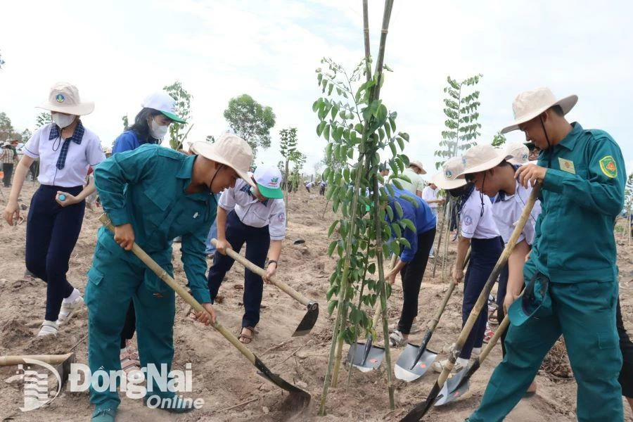 Các đại biểu tham gia lễ trồng cây tại Trường bắn súng bộ binh huyện Nhơn Trạch. Ảnh: Nguyệt Hà