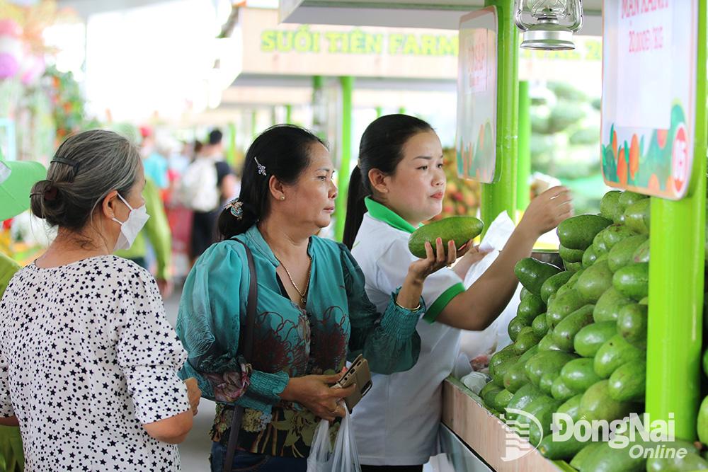 Đến với lễ hội trái cây Nam Bộ năm nay, du khách sẽ có dịp thưởng thức nhiều loại trái cây đặc sản. Ảnh: S.T.