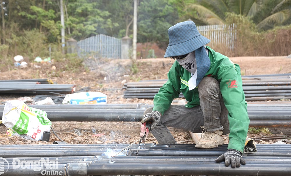 Đồng Nai đã bàn giao cho các đơn vị chủ đầu tư Dự án Đường cao tốc Biên Hòa - Vũng Tàu diện tích mặt bằng gần 97 hécta để phục vụ thi công.