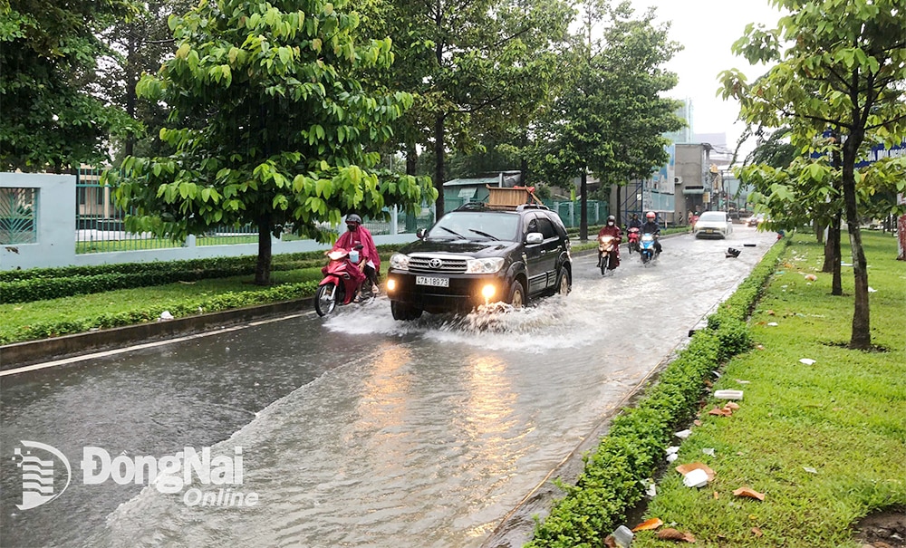 Từ đầu tháng 9-2024, thời tiết tại Đồng Nai liên tiếp có mưa lớn. Ảnh: Lê Duy