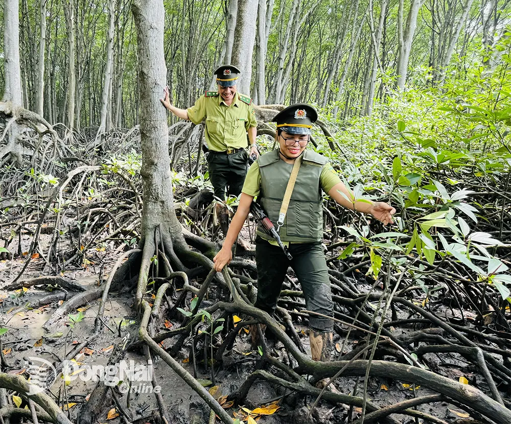 Nụ cười tươi tắn trong vất vả của thành viên nữ duy nhất tham gia đội tuần tra rừng ngập mặn. Ảnh: B.Nguyên