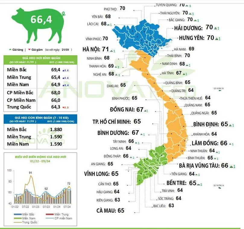 Giá heo hơi hôm nay 24/9/2024: