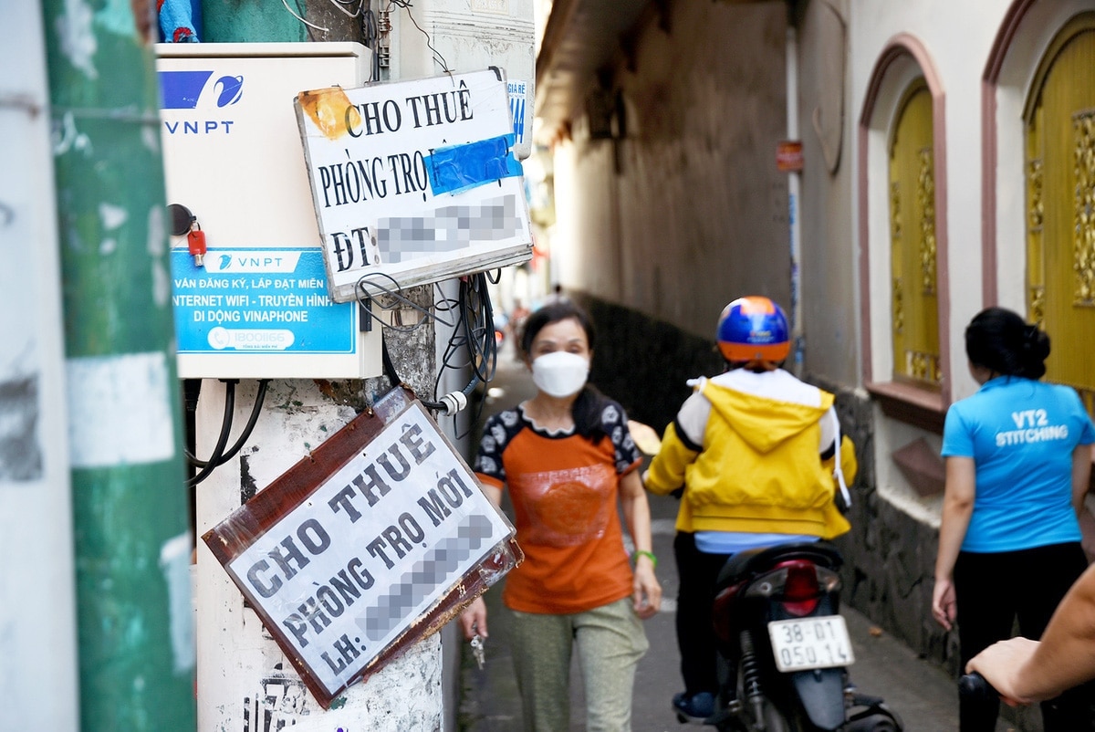 'Bỏ phố về quê bạn bè tôi phần lớn thành đạt, bám trụ ở Hà Nội 25 năm, tôi được gì'? - Ảnh 1.