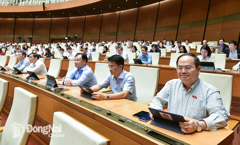 Các đại biểu Đoàn Đại biểu Quốc hội tỉnh Đồng Nai tại phiên họp. Ảnh: CTV