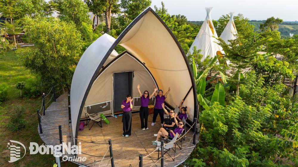 Du khách thích thú trước sàn lều Opera House mái trượt độc đáo tại Panorama Glamping. Ảnh: Panorama