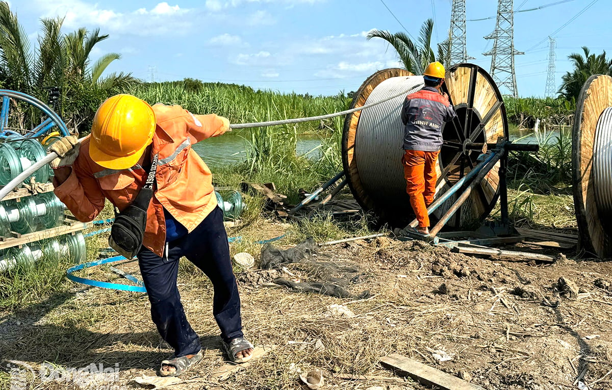 Thi công kéo dây công trình Đường dây 500kV Nhà máy điện Nhơn Trạch 4 - rẽ Phú Mỹ - Nhà Bè.