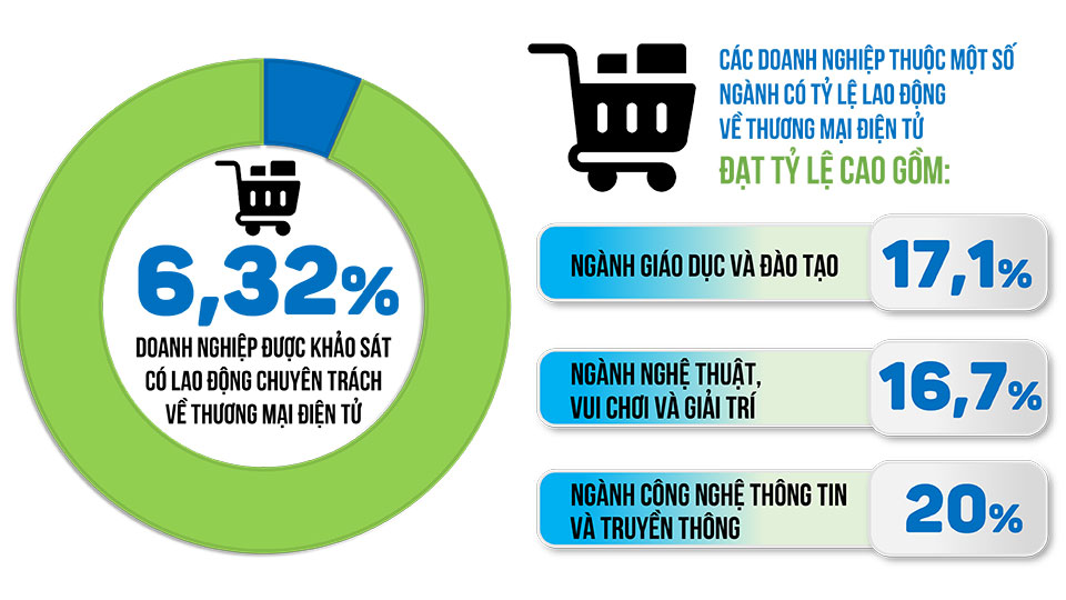 Đồ họa thể hiện tỷ lệ lao động chuyên trách về thương mại điện tử trong các doanh nghiệp theo kết quả điều tra, khảo sát, thống kê về tình hình ứng dụng thương mại điện tử trên địa bàn tỉnh năm 2022 vừa được Sở Công thương và Cục Thống kê Đồng Nai công bố. (Thông tin - Đồ họa: Hải Hà)