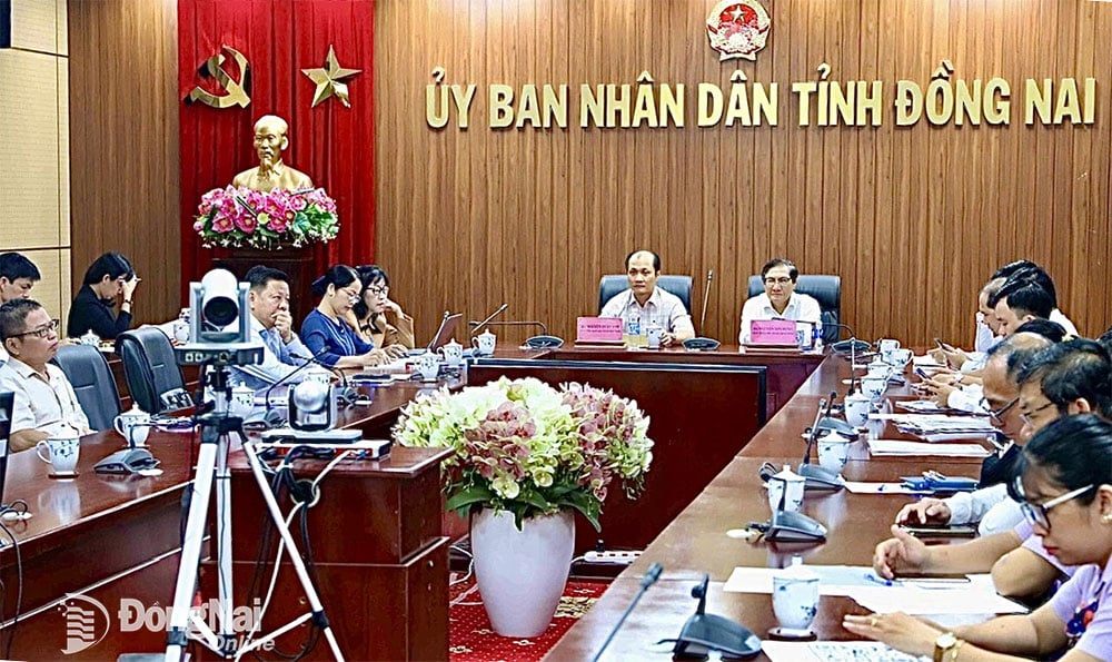 Phó chủ tịch UBND tỉnh Nguyễn Sơn Hùng chủ trì tại điểm cầu tỉnh Đồng Nai. Ảnh: B.Nguyên