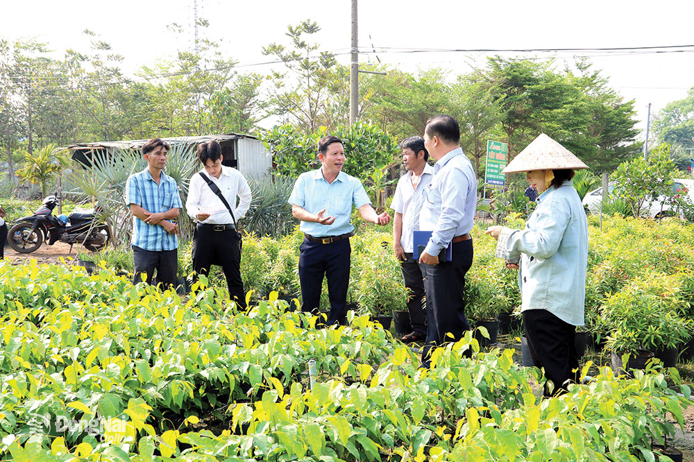 Cán bộ Quỹ Hỗ trợ phát triển hợp tác xã Đồng Nai phối hợp Hội Nông dân huyện Trảng Bom khảo sát nhu cầu vay vốn lĩnh vực kinh tế tập thể tại huyện Trảng Bom. Ảnh: V.Gia