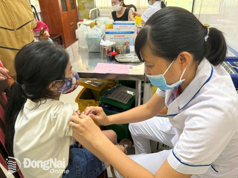 Tiêm vaccine là biện pháp hữu hiệu để phòng những bệnh truyền nhiễm nguy hiểm. Ảnh: H.Dung
