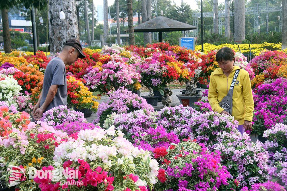 Các gian hàng hoa giấy chiếm tỷ lệ cao tại hội chợ hoa xuân năm 2025 tại Trung tâm Hội nghị và tổ chức sự kiện tỉnh. Ảnh: Hải Quân