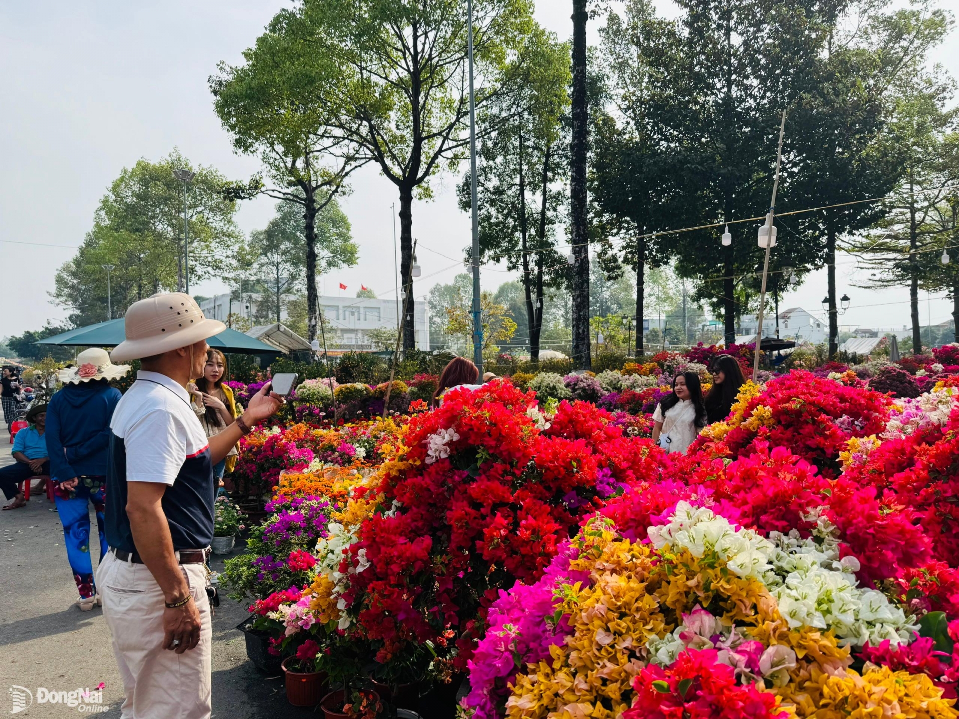 Người đàn ông choáng ngợp trước những chậu bông giấy đủ màu sắc, lấy điện thoại chụp ảnh, quay video để làm kỷ niệm. Ảnh: Hạnh Dung