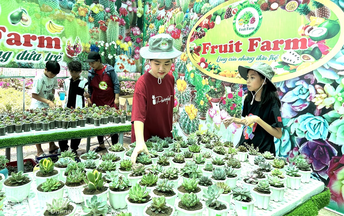 Học sinh tham quan Farm Fruit của Tổ hợp tác Du lịch sinh thái vườn cây ăn trái xã Xuân Bắc (huyện Xuân Lộc). Ảnh: N.LIÊN

