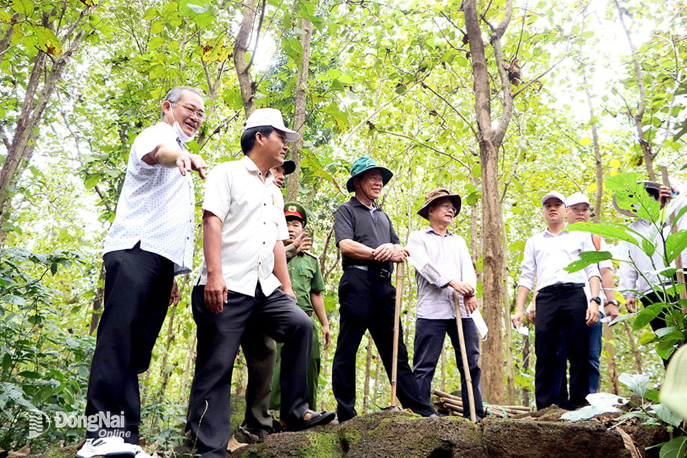 Ủy viên Trung ương Đảng, Bí thư Tỉnh ủy Nguyễn Hồng Lĩnh (giữa) khảo sát tiềm năng phát triển du lịch hang động, núi đá tại huyện Định Quán. Ảnh: N.Liên