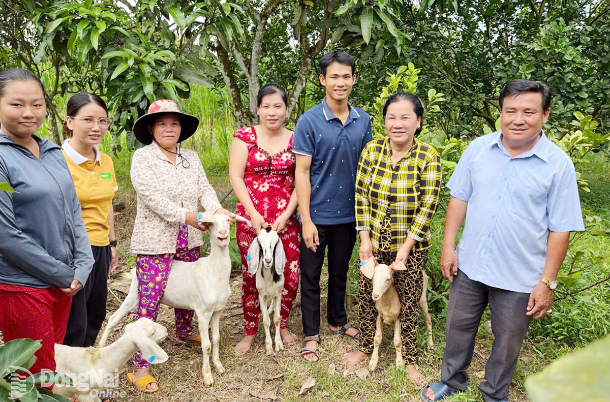 Người dân vùng đệm Khu Dự trữ sinh quyển Đồng Nai được hỗ trợ vốn mua dê tạo sinh kế từ Dự án BR.