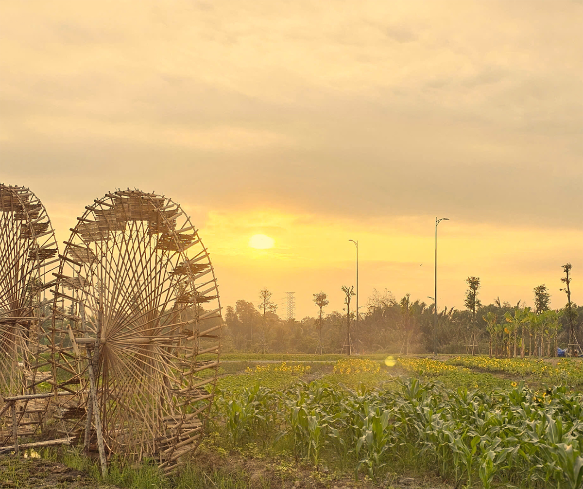 Cọn nước giữa cánh đồng hoa, phong vị Tây Bắc trong lòng hội hoa iD Junction.