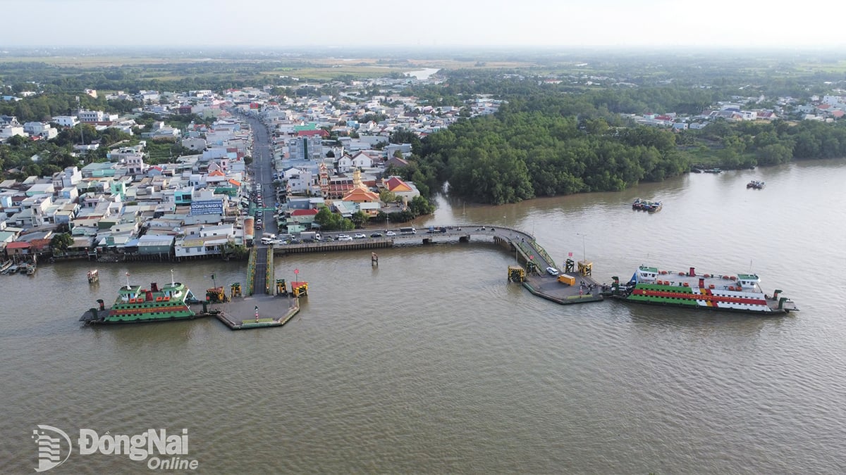 Phương án xây dựng cầu Cát Lái được đánh giá có nhiều ưu điểm hơn so với phương án làm hầm vượt sông. Ảnh:P.Tùng

