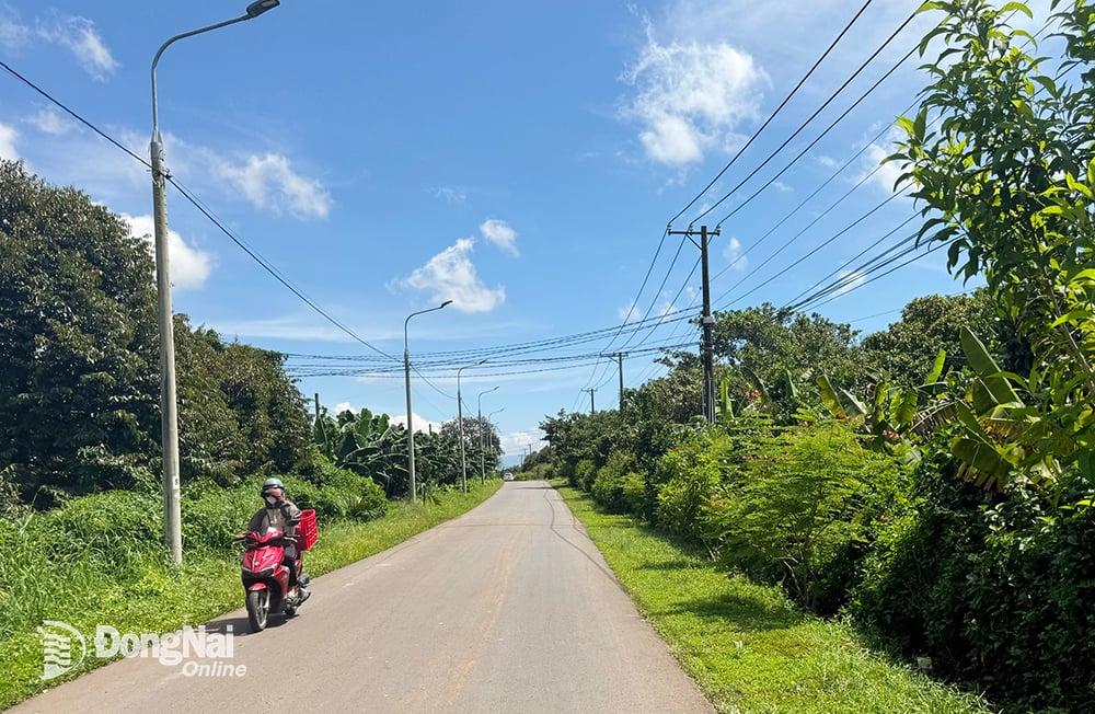 Đường nông thôn mới kiểu mẫu tại xã Phú Lập, huyện Tân Phú. Ảnh: B.Nguyên