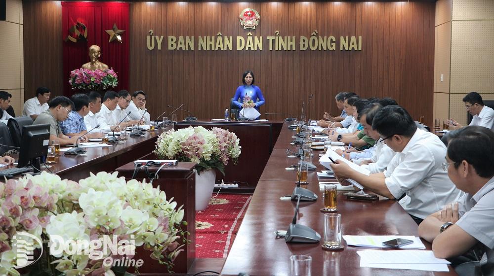 Phó chủ tịch UBND tỉnh Nguyễn Thị Hoàng phát biểu tại buổi làm việc. Ảnh: Phạm Tùng