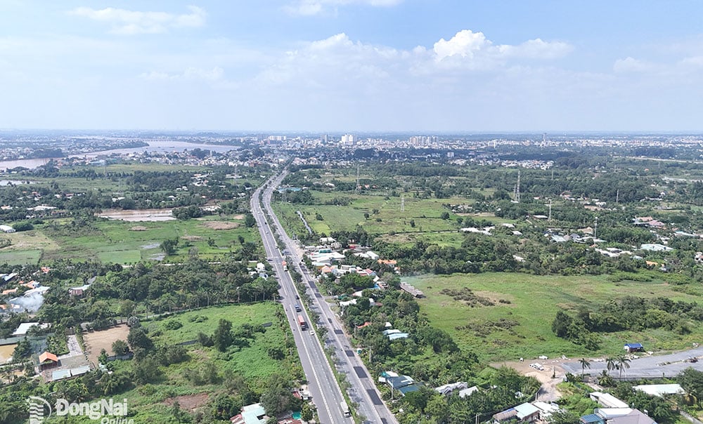  Khu vực cù lao Hiệp Hòa (phường Hiệp Hòa) được quy hoạch công viên cấp đô thị để đáp ứng nhu cầu của người dân cũng như góp phần “xanh hóa” đô thị Biên Hòa. Ảnh: P.TÙNG