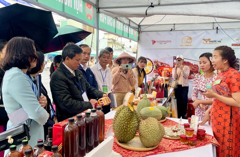 Gia Lai: Quảng bá thương hiệu để xuất khẩu nông sản ảnh 1