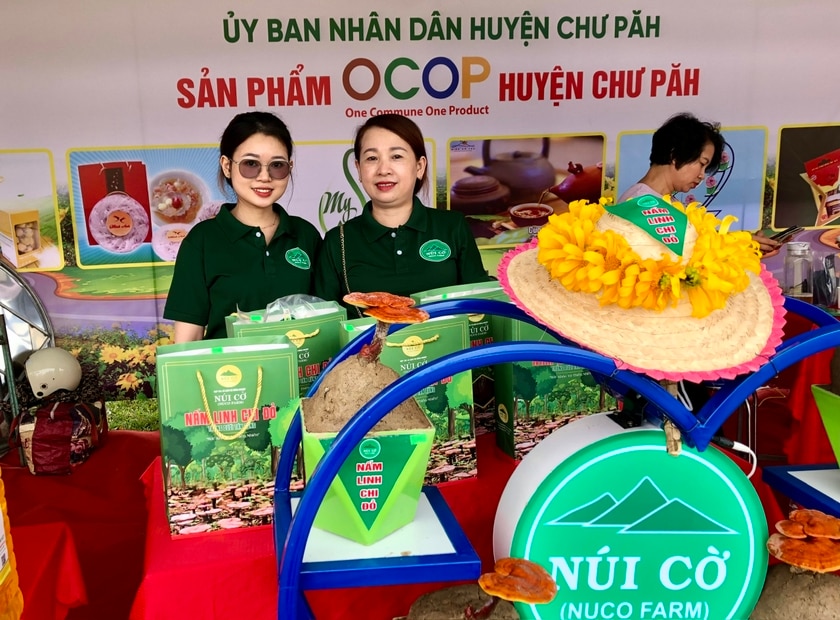 Sản phẩm nấm linh chi đỏ Núi Cờ đạt OCOP 3 sao được đưa đến phiên chợ nông sản an toàn để giới thiệu và quảng bá với du khách. Ảnh: Lê Nam