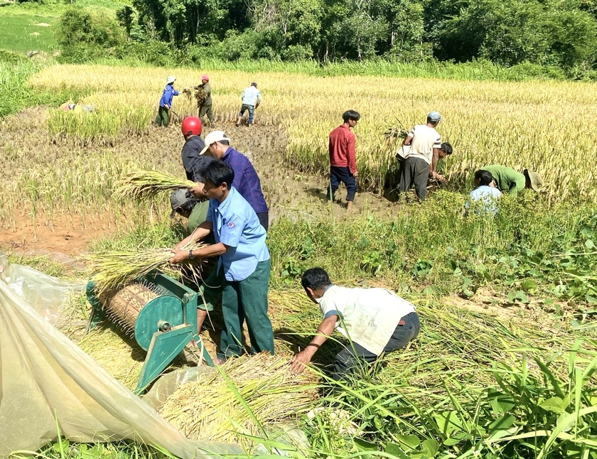 Từ nguồn vốn các chương trình mục tiêu quốc gia, UBND xã Đak Rong (huyện Kbang) hỗ trợ người dân làng Hà Đừng 1 thâm canh lúa nước. Ảnh: M.P