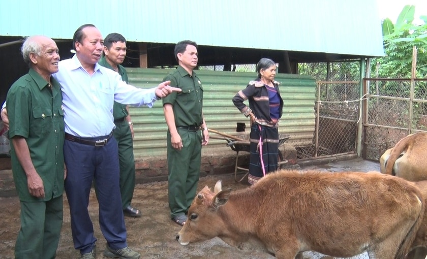 Chủ nhiệm CLB &quot;Cựu chiến binh sản xuất, kinh doanh giỏi&quot; huyện Đức Cơ (áo trắng) Nguyễn Thành Long trò chuyện cùng cựu chiến binh Rơ Mah Duen (ngoài cùng bên trái). Ảnh: P.D