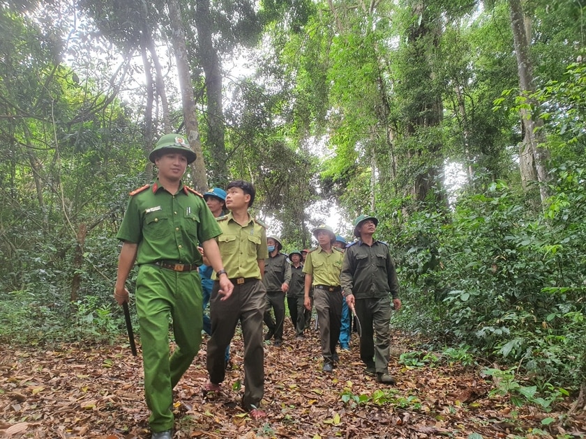 Lực lượng Kiểm lâm, Công an xã Đak Smar và đơn vị chủ rừng tổ chức tuần tra bảo vệ rừng trên lâm phần quản lý. Ảnh: Minh Phương