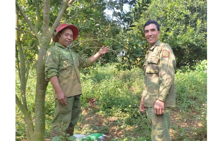 Các thành viên Nông hội trồng cà phê xen mắc ca xã Sơn Lang (huyện Kbang) chia sẻ kinh nghiệm sản xuất. Ảnh: N.M