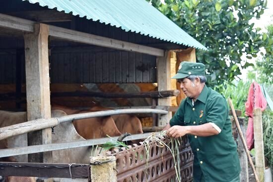 Ông Ksor Hiếu-nguyên Bí thư Đảng ủy xã Ia Hrung, hiện đang sống ở làng Blo Dung, là du kích những năm 1967-1968, Tiểu đội trưởng rồi Xã đội trưởng B15 (xã Ia Dêr hiện nay), rất tích cực phát triển kinh tế gia đình. Ảnh: Minh Thoan