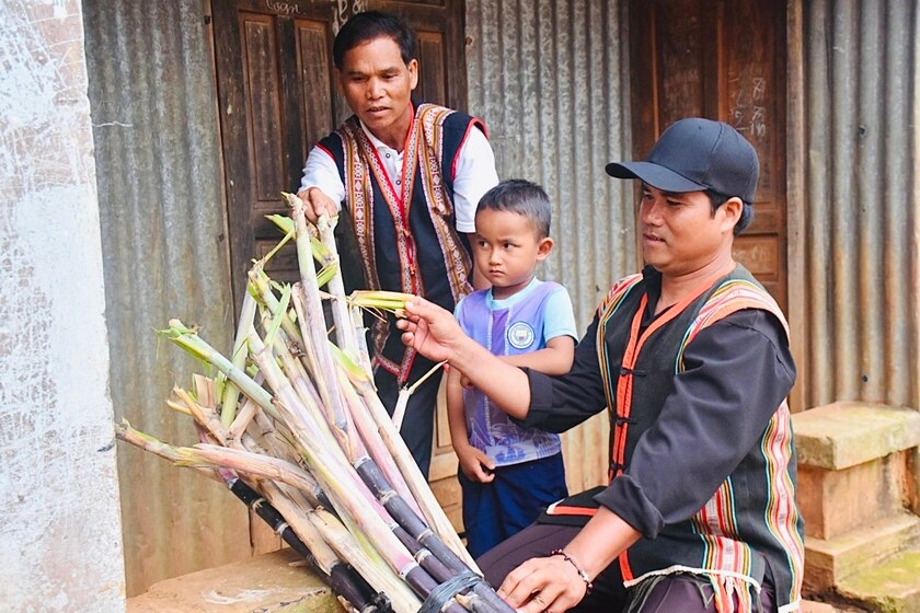 Ông Kơ Pă Jiâu (bìa trái; làng Nhao 2) hướng dẫn dân làng cách trồng mía tím. Ảnh: N.S